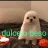 Eaglekll28